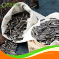 big sale sunflower seeds from Mongolia 3638 $1000